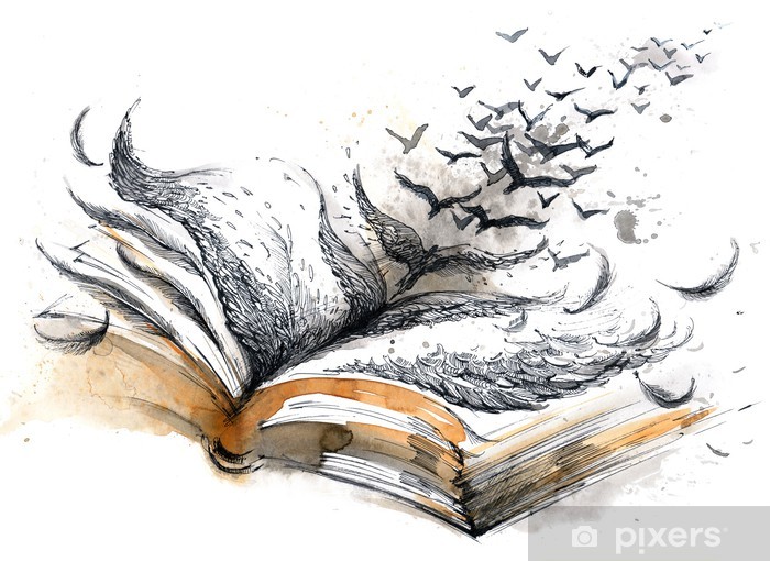 livre ancien
